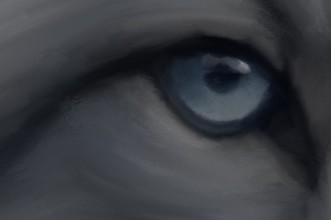 Portret szarego lisa oko zbliżenie